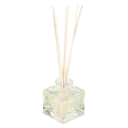 Gothic Gifts Go Away Evil Reed Diffuser