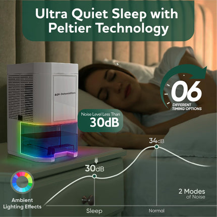 Dehumidifier for Home Damp 1000ML -GW-Remove Moisture Efficiently -Electric Dehumidifier for Bedroom -Sleep Mode & 6 Timer Options-Portable, Auto