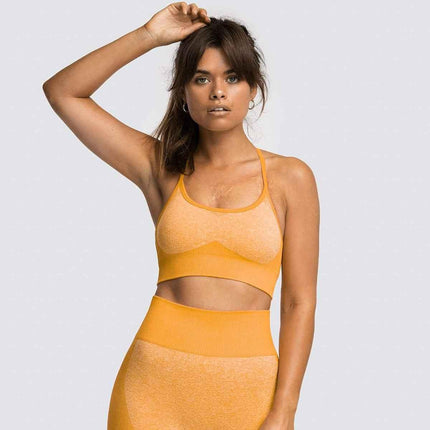 2 Piece Set Seamless Gym Wear Leggings for Women with Breathable Yoga Bra - High Quality Activewear