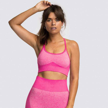 2 Piece Set Seamless Gym Wear Leggings for Women with Breathable Yoga Bra - High Quality Activewear