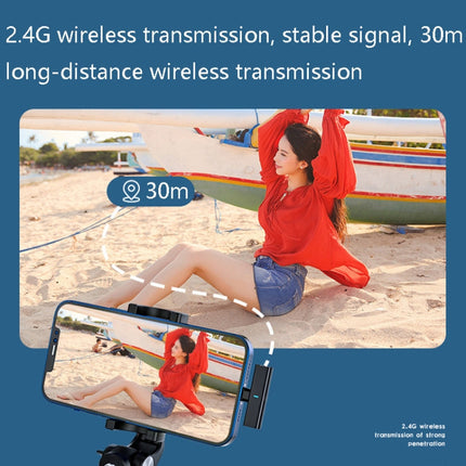 DS01 Outdoor Live Collar Microphone Collar Interview Recording Noise Reduction Wireless Microphone, Specification:, 8 Pin (Black), Type-C / USB-C (Black), Type-C / USB-C (White)