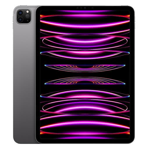iPad Pro 11 (2022) 256GB Wi-Fi Cellular  | Unlocked